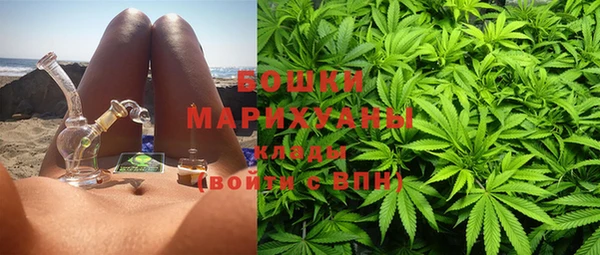 МДПВ Дмитровск