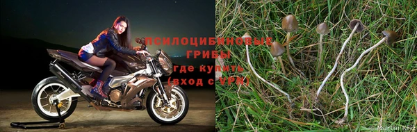 альфа пвп Лабытнанги